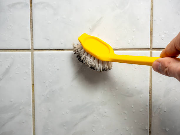 Best Professional Mold Removal  in Pleasant Grove, UT