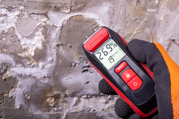 Best Black Mold Removal  in Pleasant Grove, UT